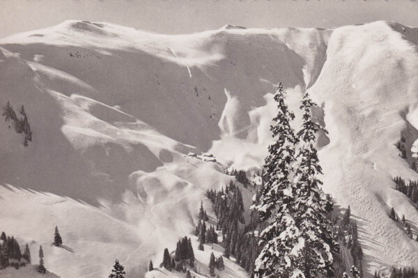 Steinbergkogel mit Buckelpiste